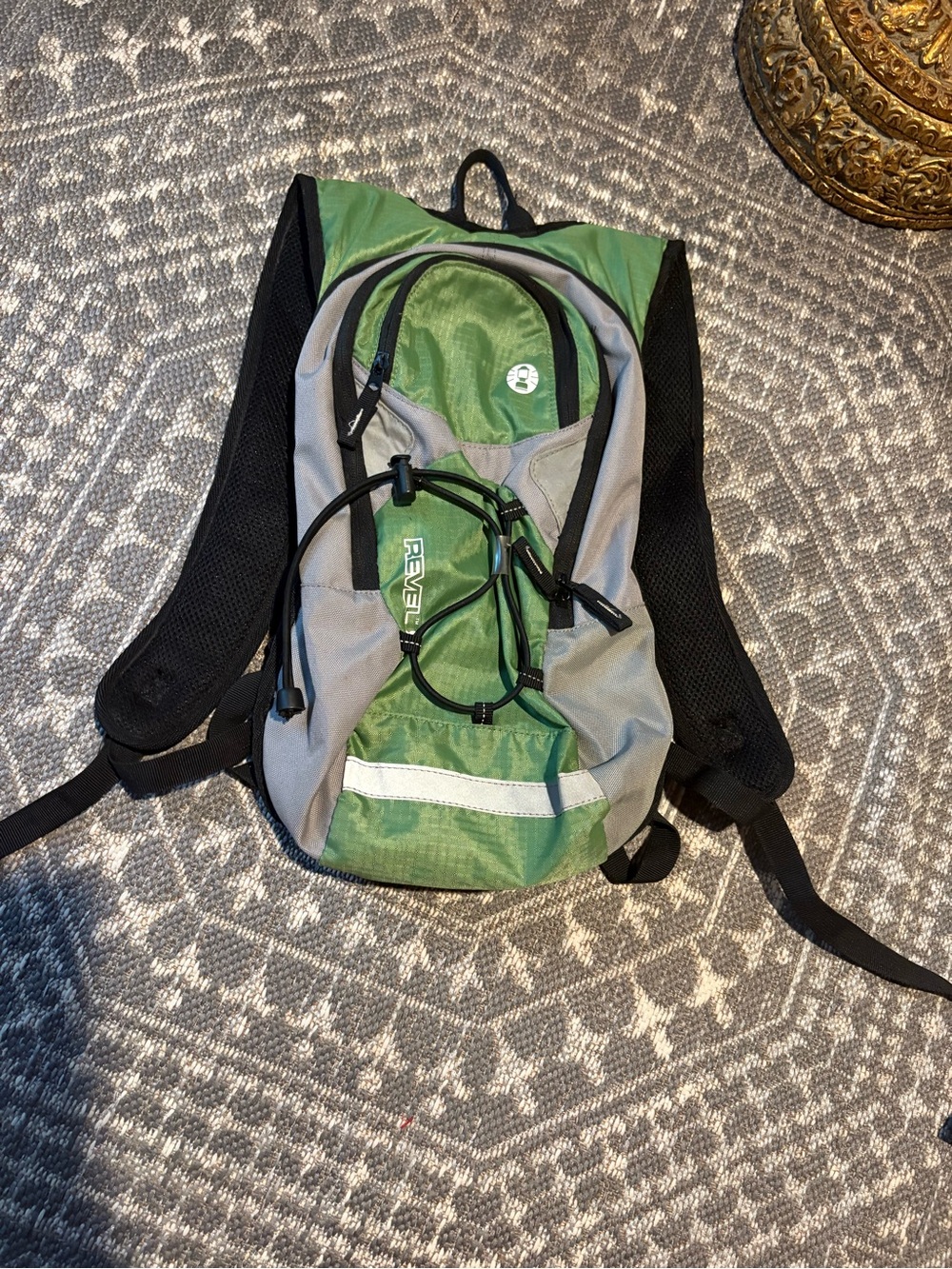Coleman Revelstoke Hiking Green and Gray Men's Backpack
